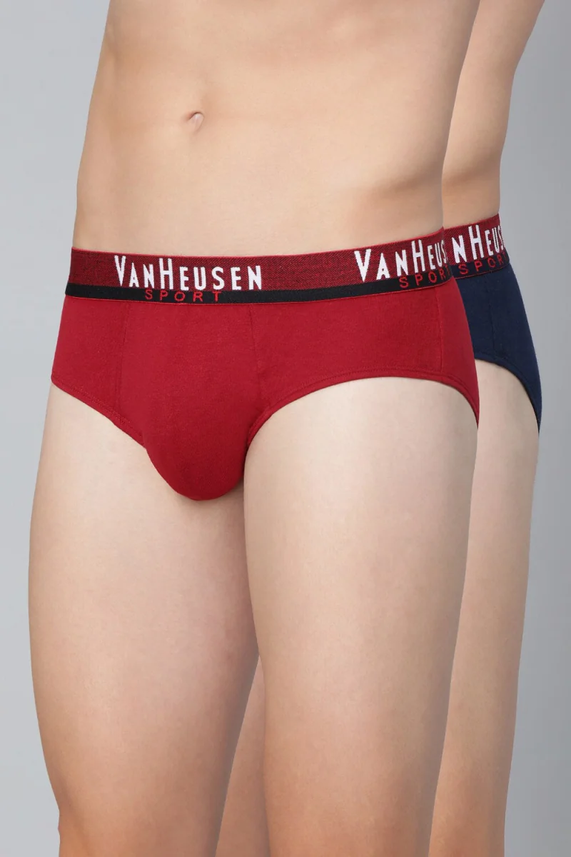 Men's Multicolor Sport Regular Fit Plush Back Elasticized Waistband Ultra Soft Solid Briefs - Pack of 2