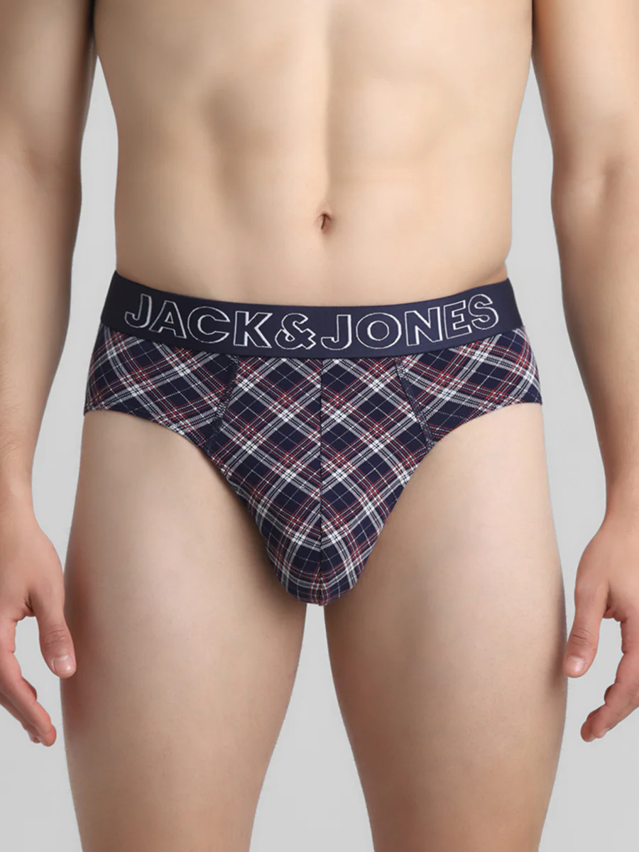 Men's Blue Casual Regular Fit Checked Brief