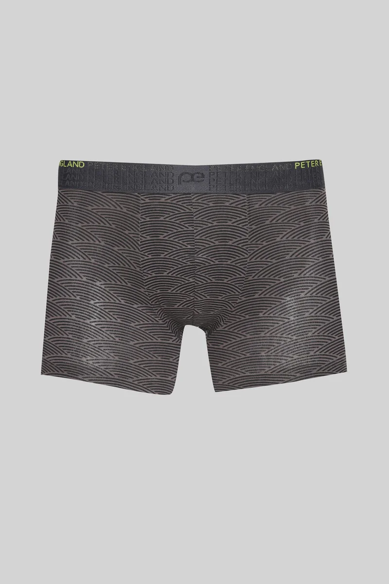 Men's Grey Cotton Print Trunk by Peter England